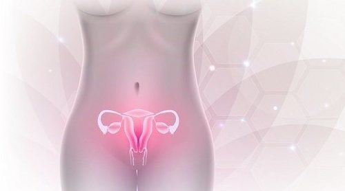 ¿Cuáles son las funciones principales del sistema reproductor femenino?