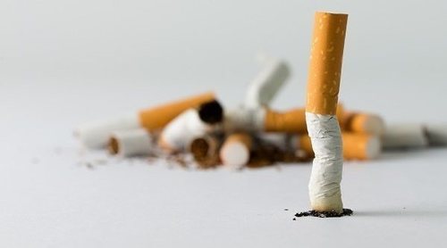 Formas naturales de aumentar el estrógeno en el organismo